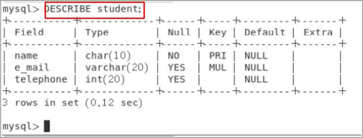 student数据表的数据结构