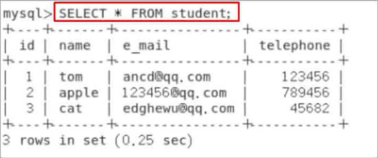 student表中的所有数据信息