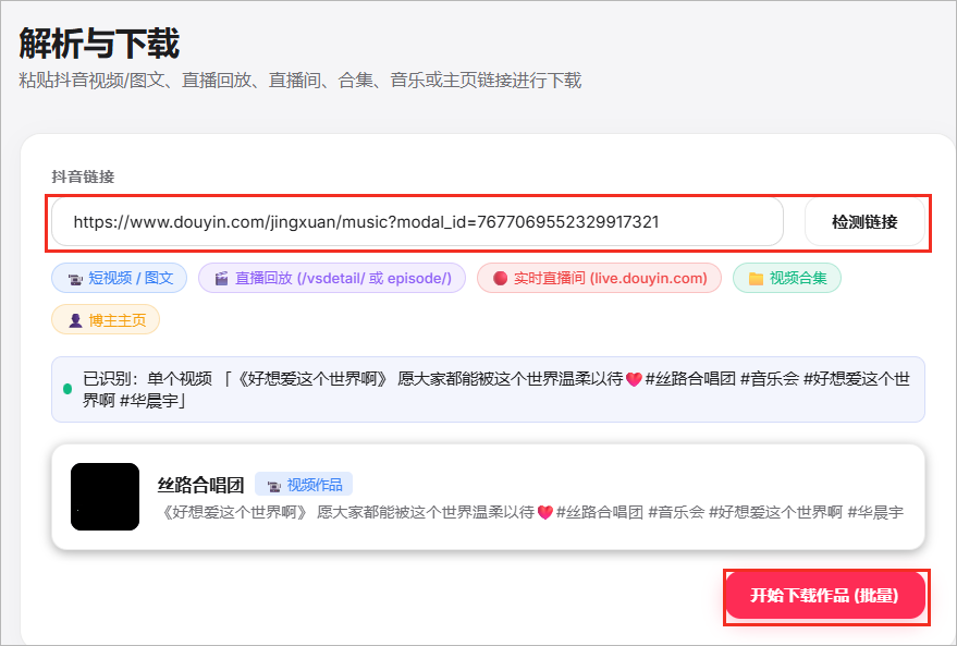 检测到单个视频,核对后点击下载按钮。