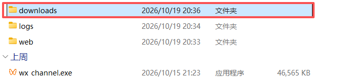 在程序目录打开downloads文件夹。